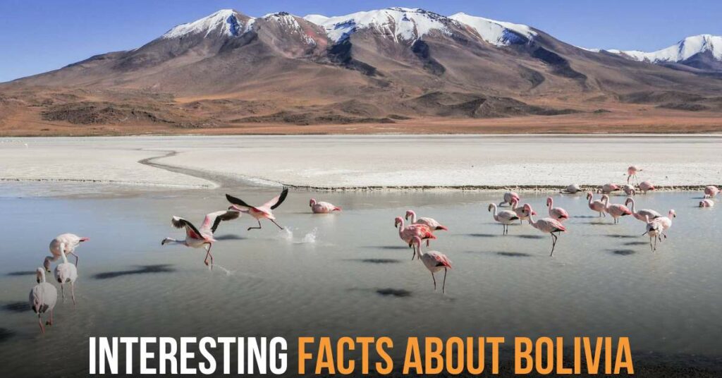 Interesting Facts About Bolivia