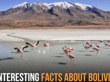 Interesting Facts About Bolivia