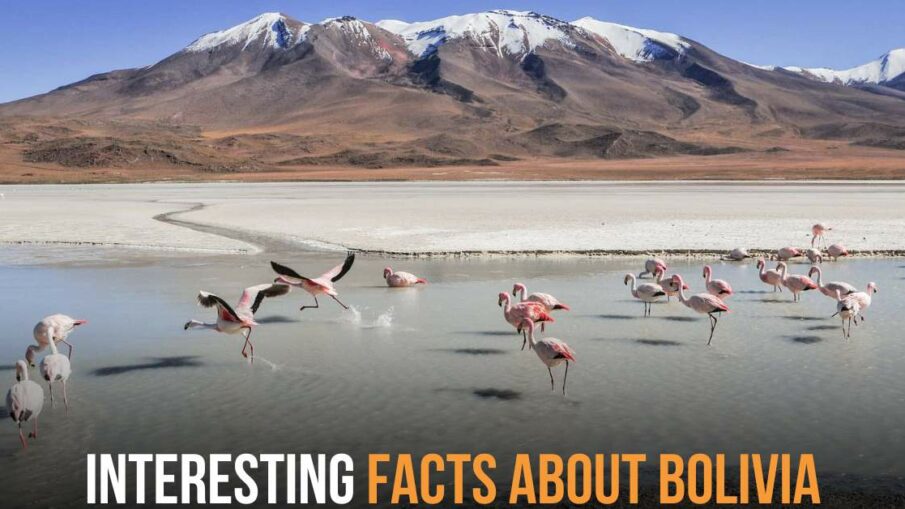 Interesting Facts About Bolivia