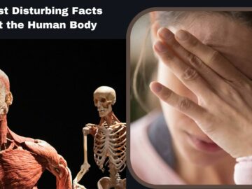 12 Most Disturbing Facts About the Human Body