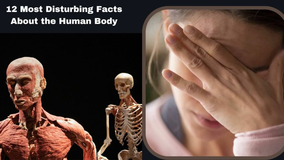 12 Most Disturbing Facts About the Human Body