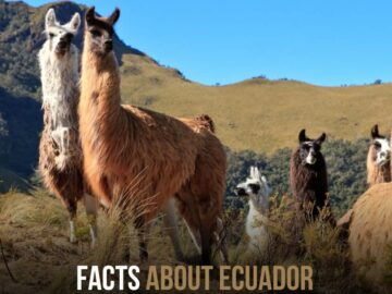 Facts About Ecuador