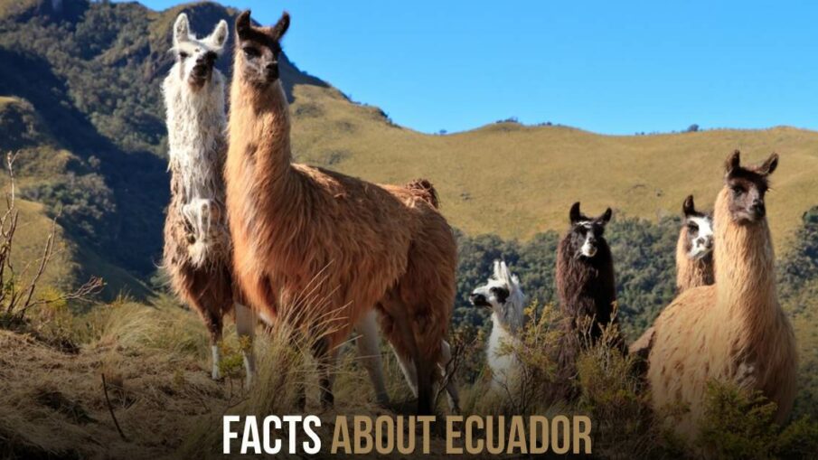 Facts About Ecuador