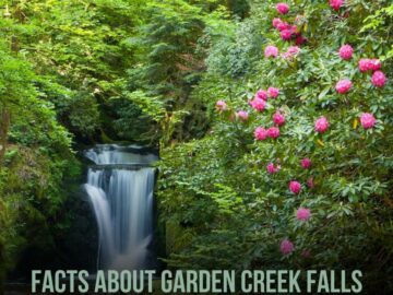 Facts About Garden Creek Falls