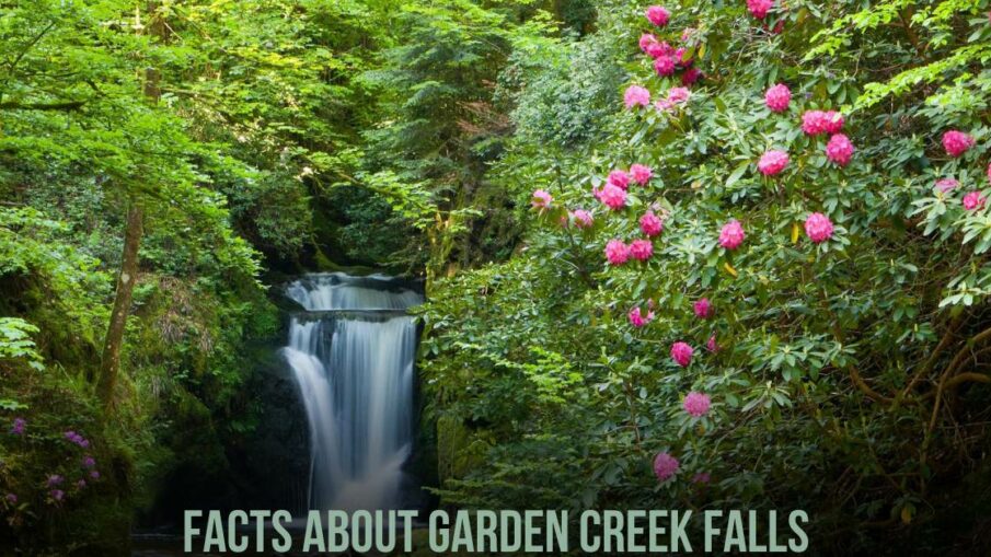 Facts About Garden Creek Falls