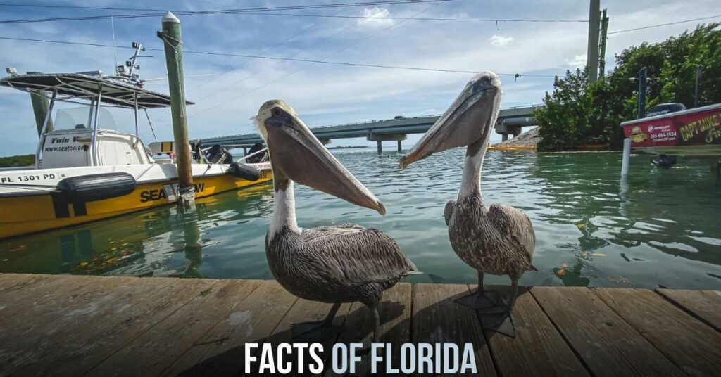 Facts of Florida