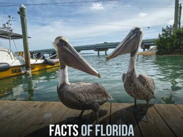 Facts of Florida