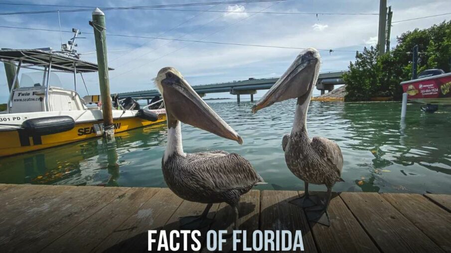 Facts of Florida