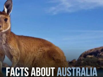 Facts About Australia