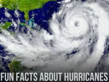 Fun Facts About Hurricanes