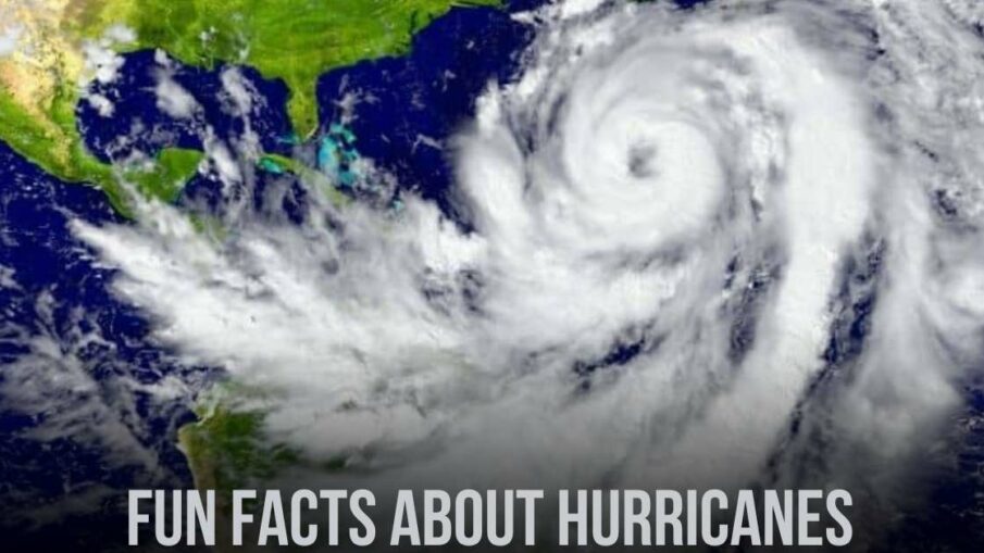 Fun Facts About Hurricanes