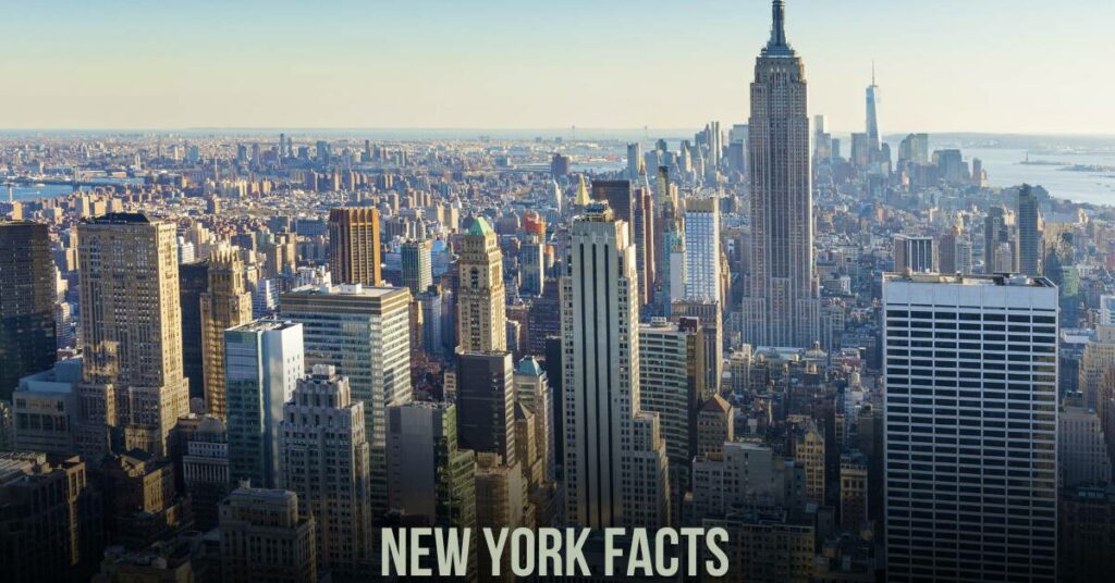 new york facts