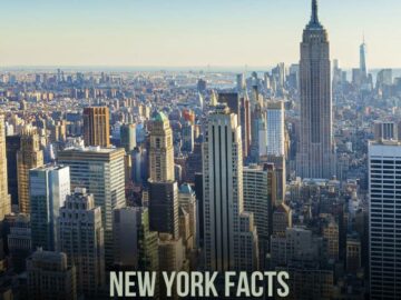 new york facts