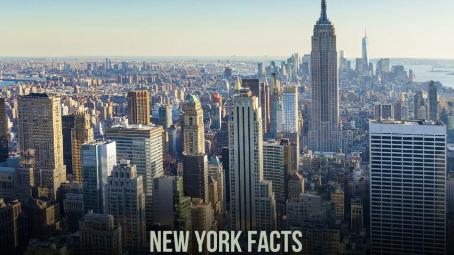 new york facts