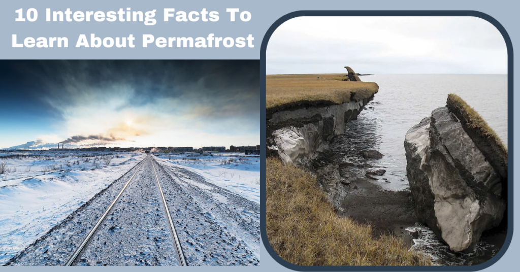 10 Interesting Facts To Learn About Permafrost