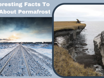 10 Interesting Facts To Learn About Permafrost