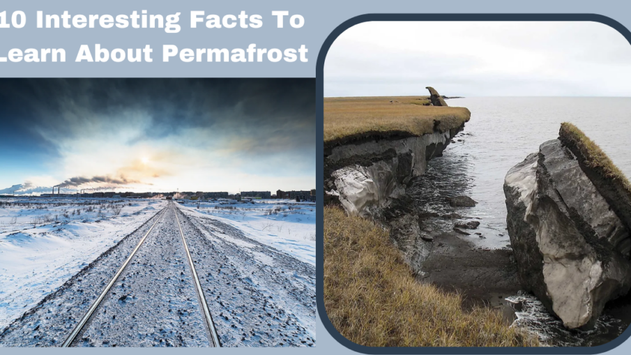 10 Interesting Facts To Learn About Permafrost