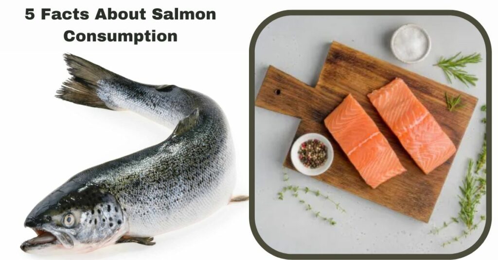 5 Facts About Salmon Consumption