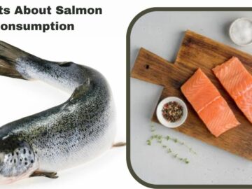 5 Facts About Salmon Consumption