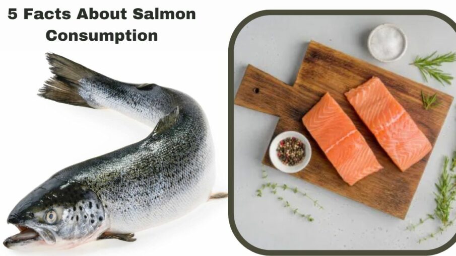 5 Facts About Salmon Consumption