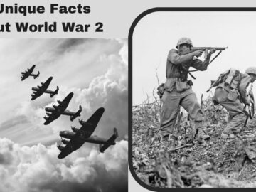 5 Unique Facts About World War 2