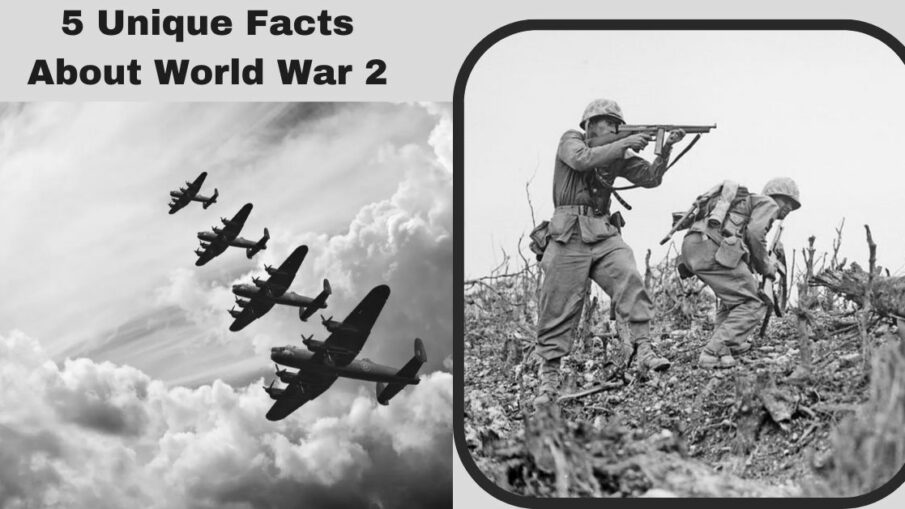 5 Unique Facts About World War 2