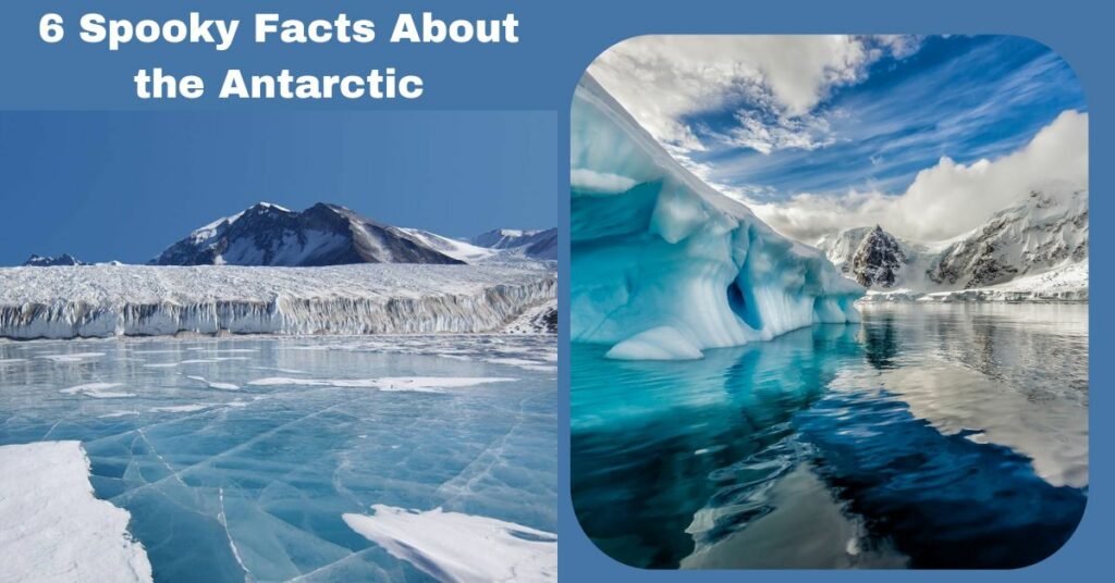 Facts About the Antarctic