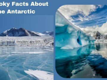 Facts About the Antarctic