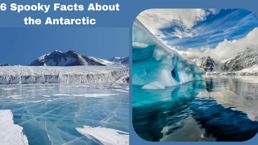 Facts About the Antarctic