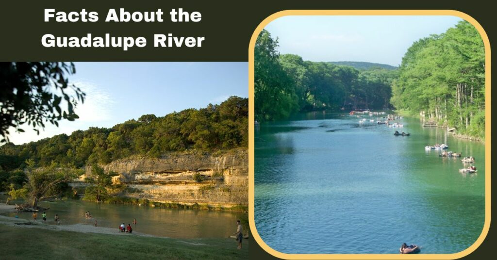 Facts About the Guadalupe River