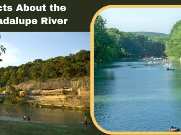 Facts About the Guadalupe River