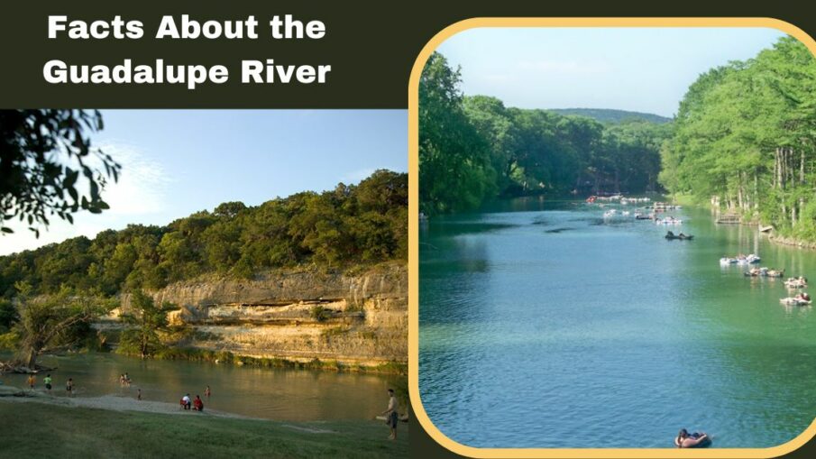 Facts About the Guadalupe River