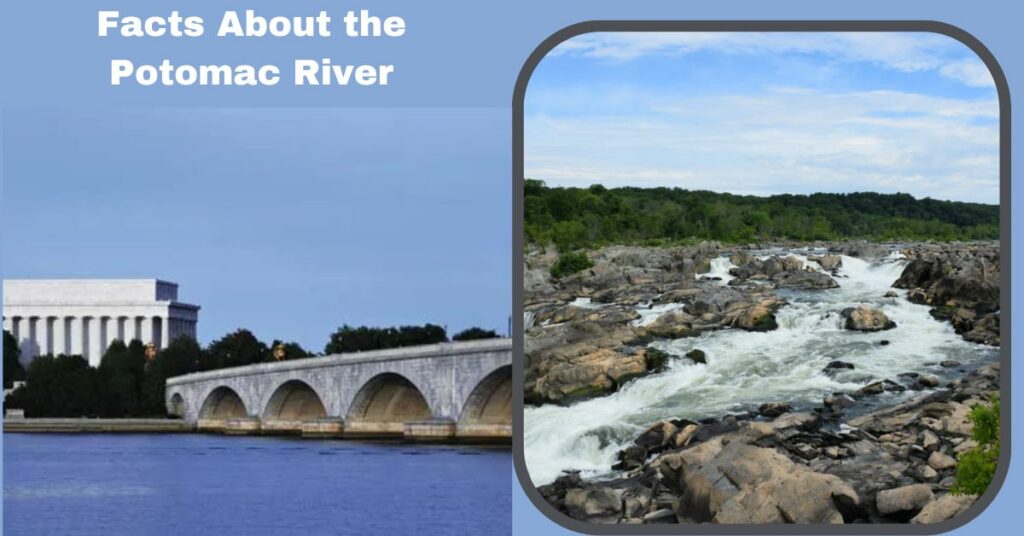 Facts About the Potomac River