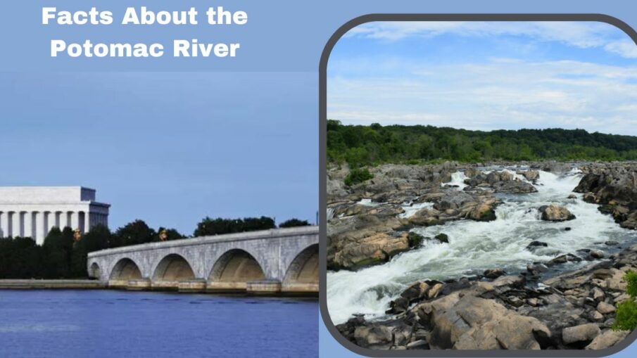 Facts About the Potomac River