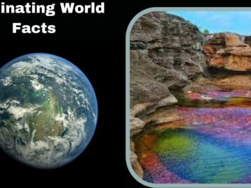 Fascinating World Facts