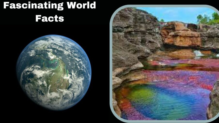 Fascinating World Facts