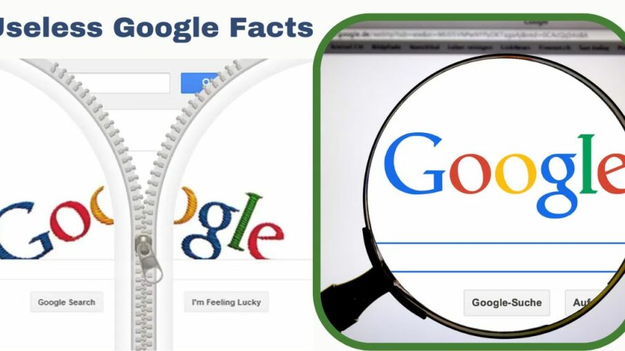 Useless Google Facts