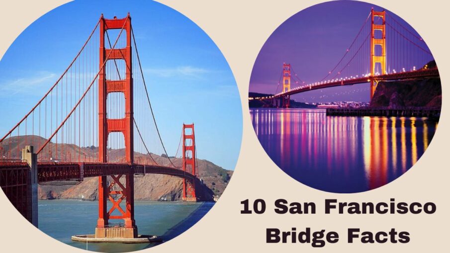 10 San Francisco Bridge Facts