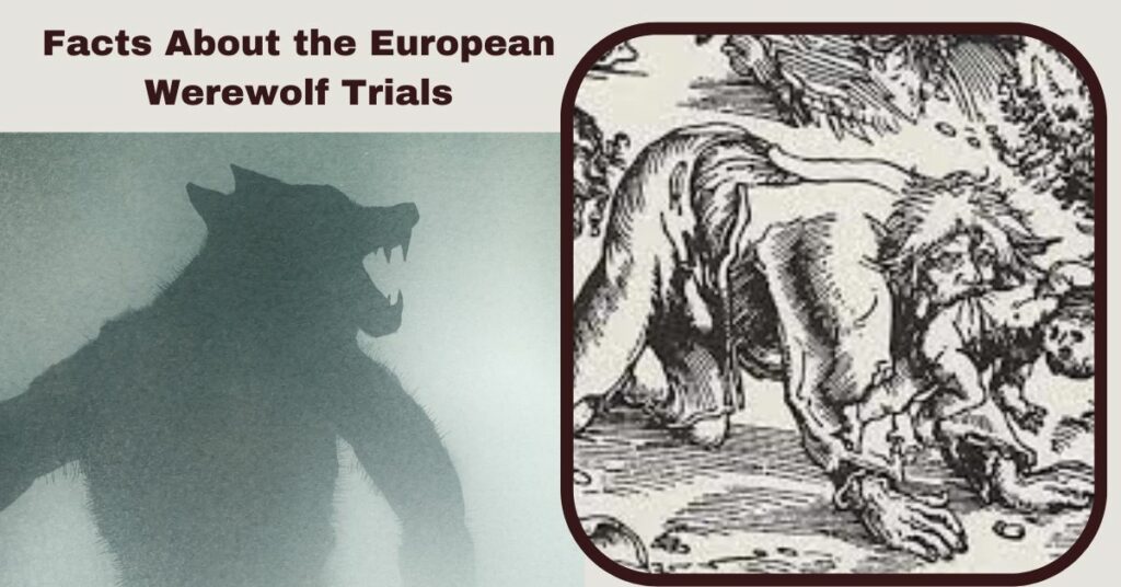 Facts About the European Werewolf Trials