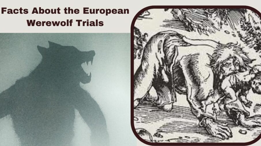 Facts About the European Werewolf Trials