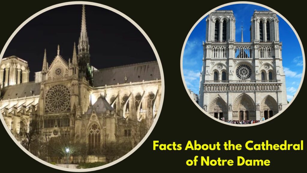 Facts About the Cathedral of Notre Dame