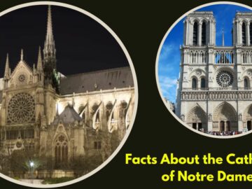 Facts About the Cathedral of Notre Dame